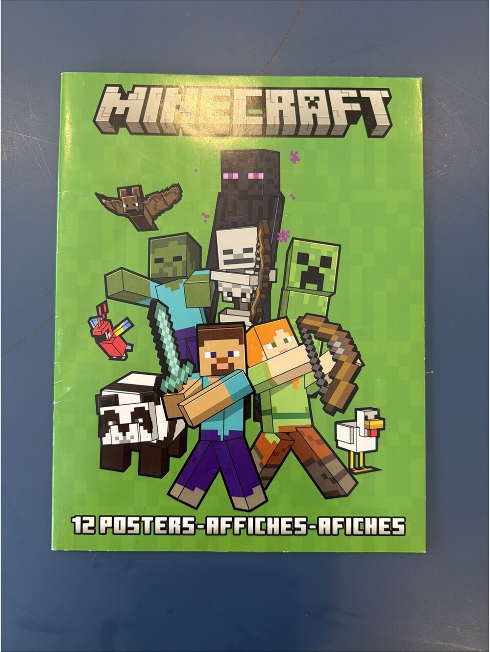 Minecraft Posters Booklet Set Of 12 Characters Steve Alex Cooper New